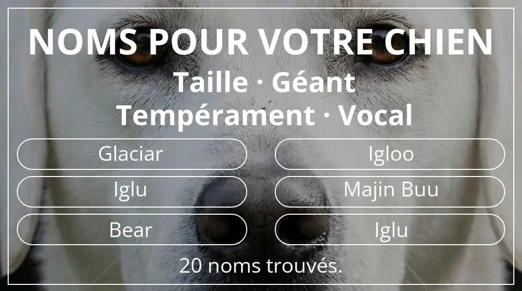 Noms de chiens inspirés de taille géant et tempérament vocal