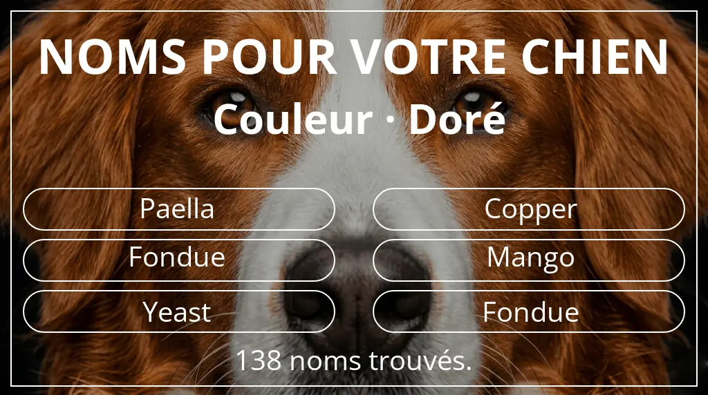 Noms de chiens inspirés de couleur doré