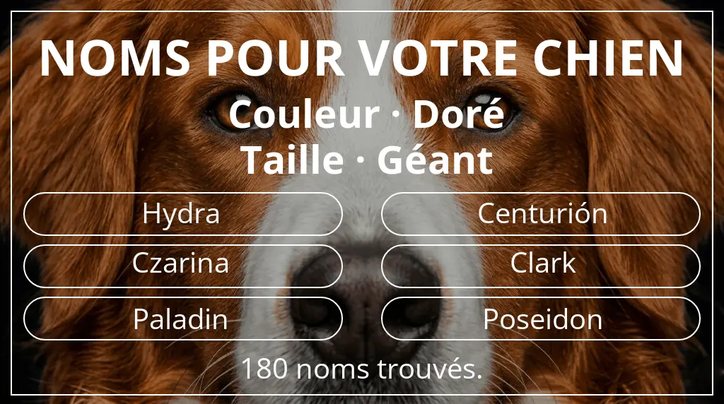 Noms de chiens inspirés de couleur doré et taille géant