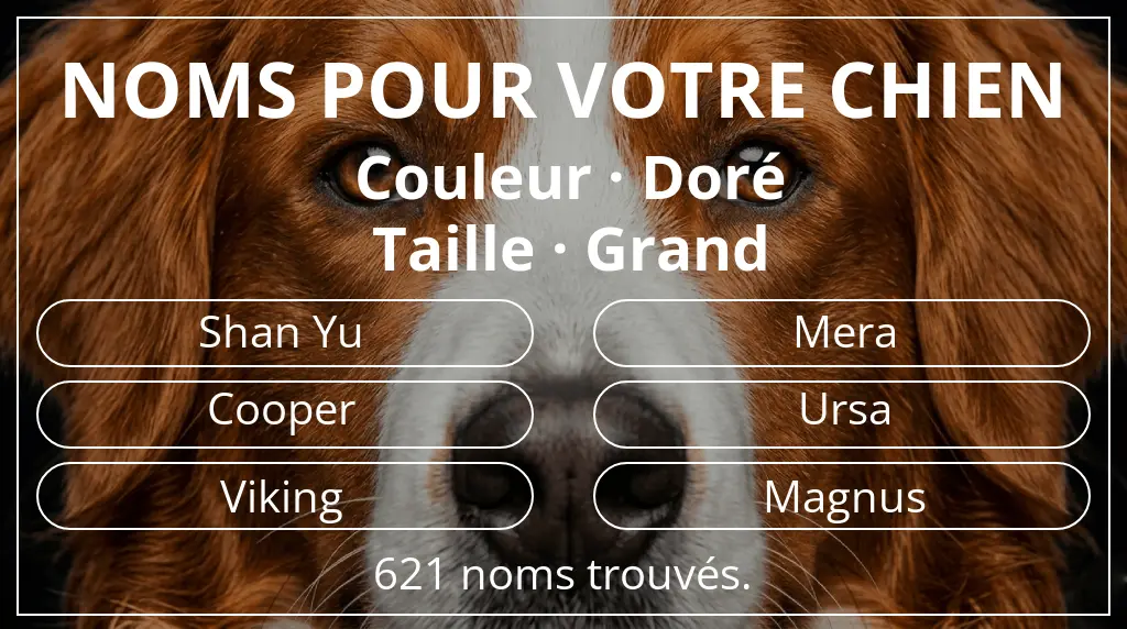 Noms de chiens basés sur couleur doré et taille grand
