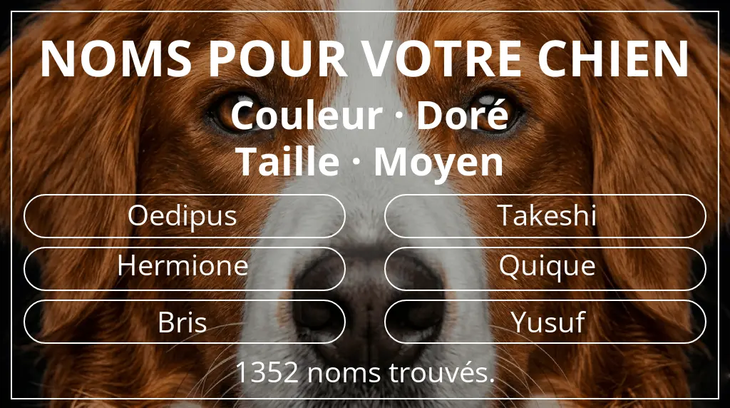 Noms de chiens basés sur couleur doré et taille moyen