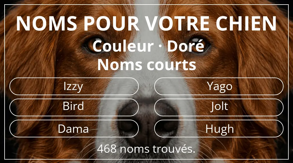 Noms pour chiens basés sur couleur doré et longueur du nom court (2 à 4)