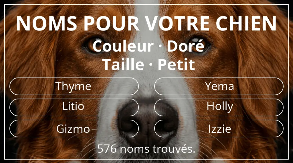 Noms de chiens inspirés de couleur doré et taille petit