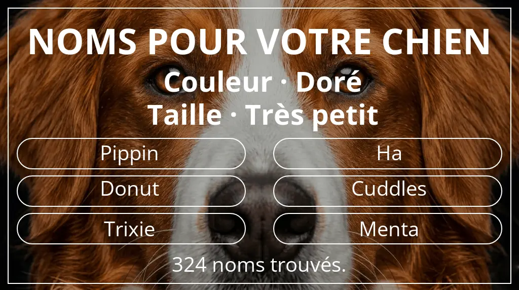 Noms de chiens inspirés de couleur doré et taille très petit