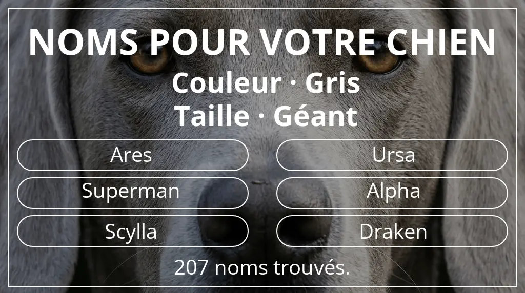 Noms pour chiens inspirés de couleur gris et taille géant