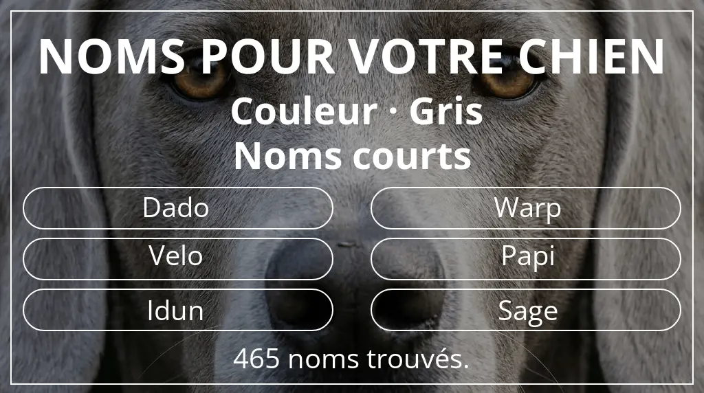 Noms pour chiens inspirés de couleur gris et longueur du nom court (2 à 4)