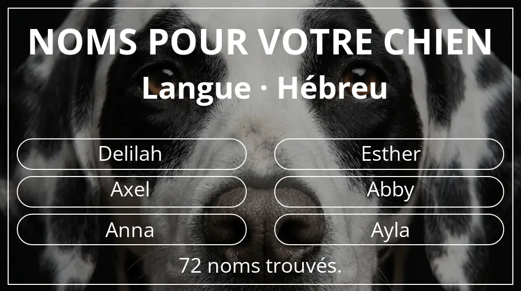 Noms pour chiens basés sur langue hébreu
