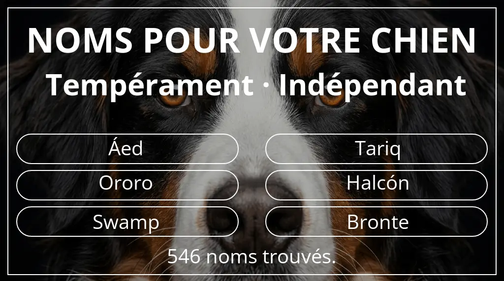 Noms de chiens basés sur tempérament indépendant