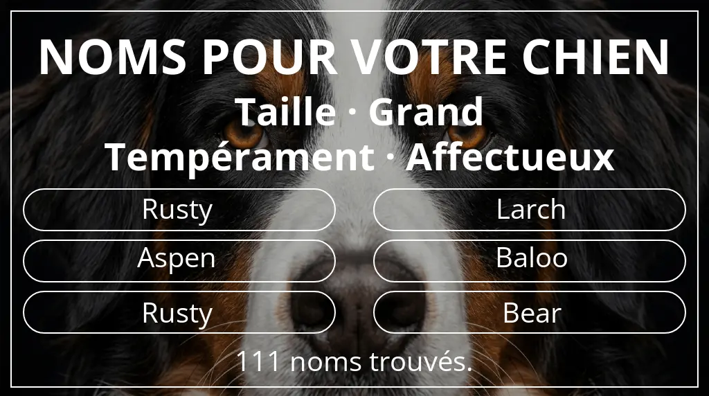 Noms de chiens basés sur taille grand et tempérament affectueux