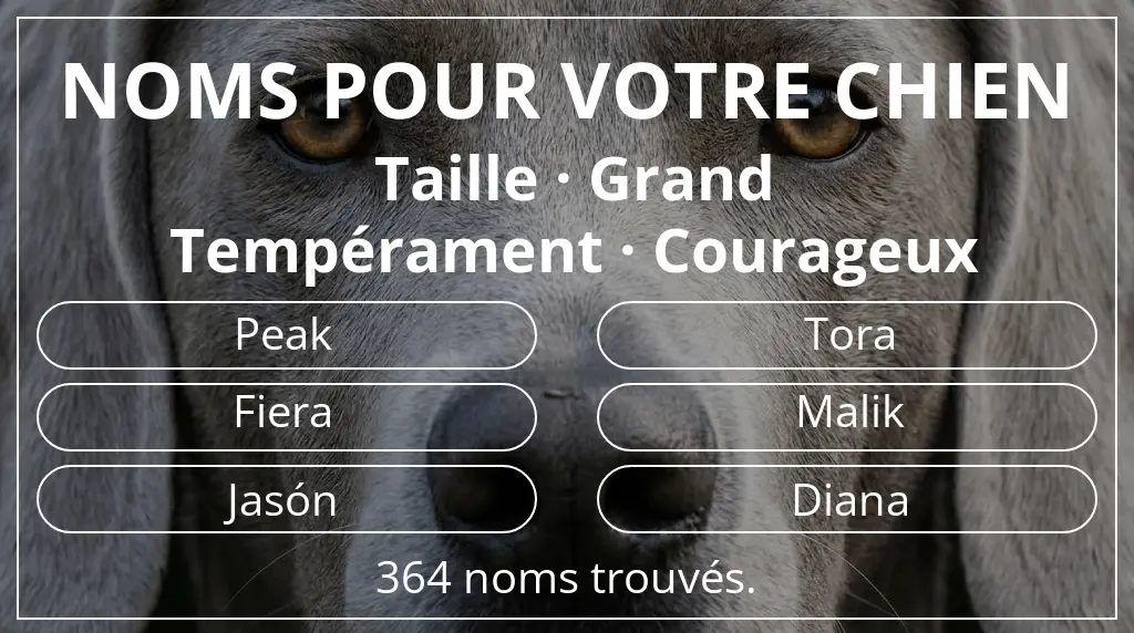 Noms de chiens inspirés de taille grand et tempérament courageux
