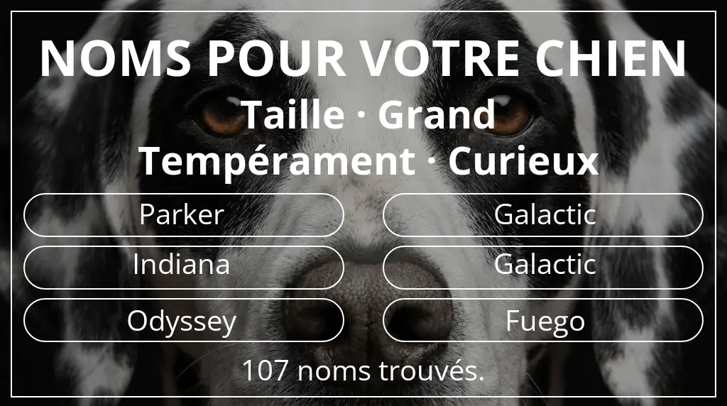 Noms pour chiens inspirés de taille grand et tempérament curieux