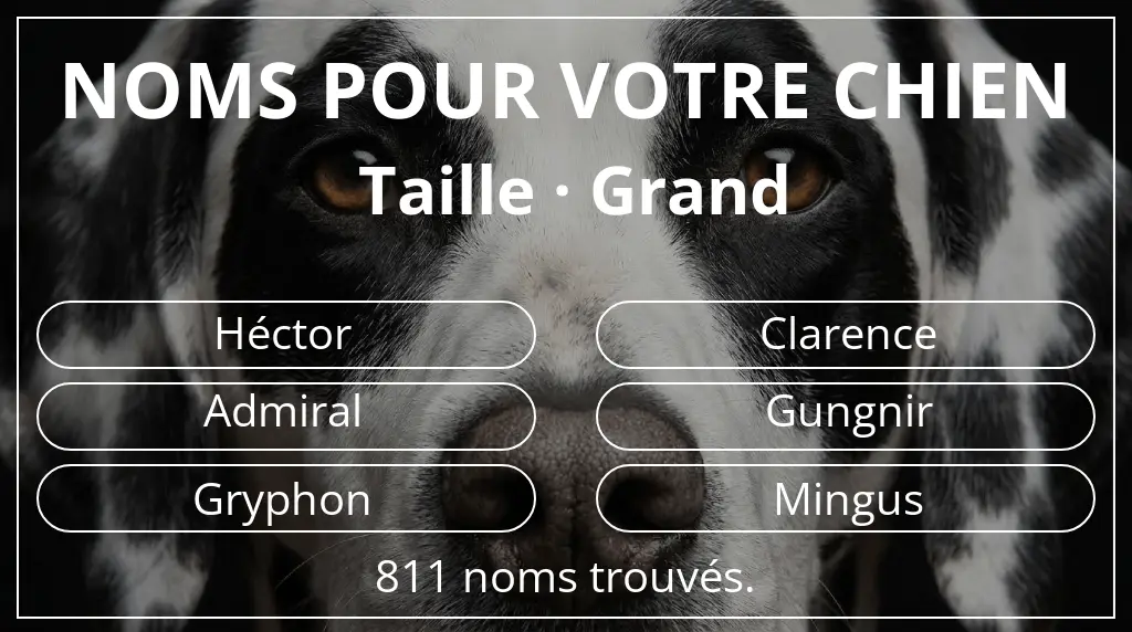 Noms de chiens basés sur taille grand