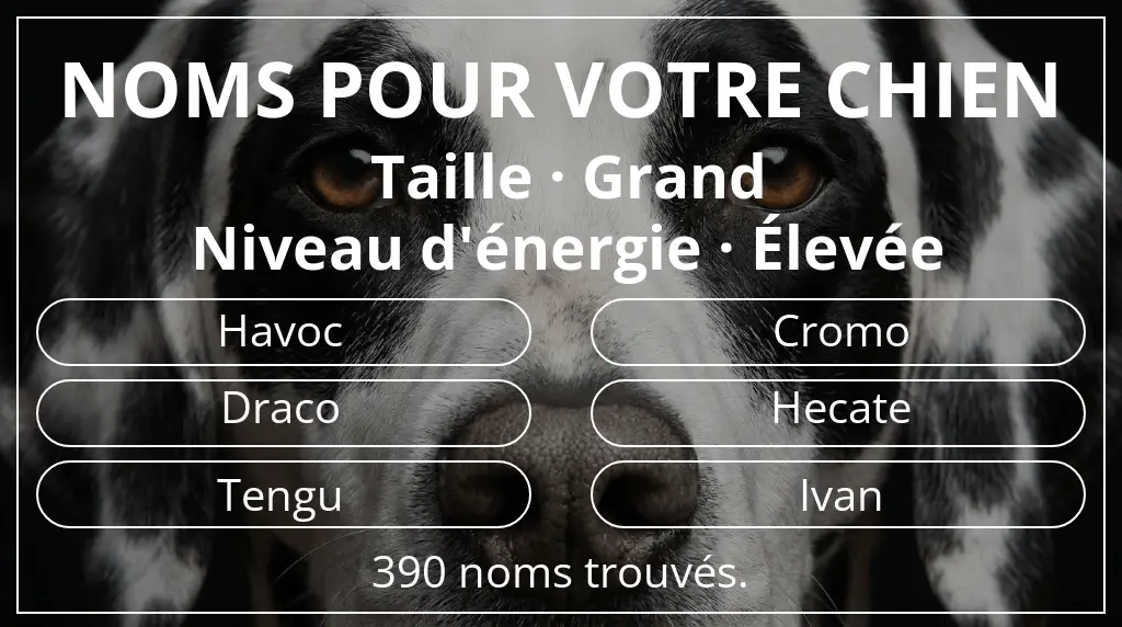 Noms de chiens basés sur taille grand et niveau d'énergie élevée