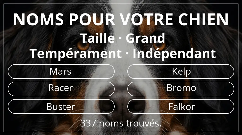 Noms pour chiens inspirés de taille grand et tempérament indépendant