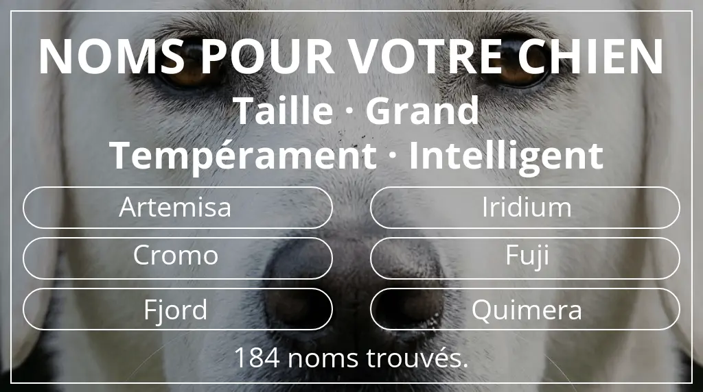 Noms pour chiens inspirés de taille grand et tempérament intelligent