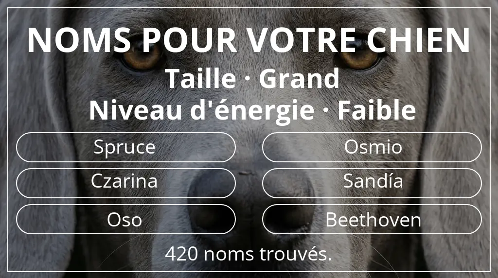 Noms pour chiens inspirés de taille grand et niveau d'énergie faible