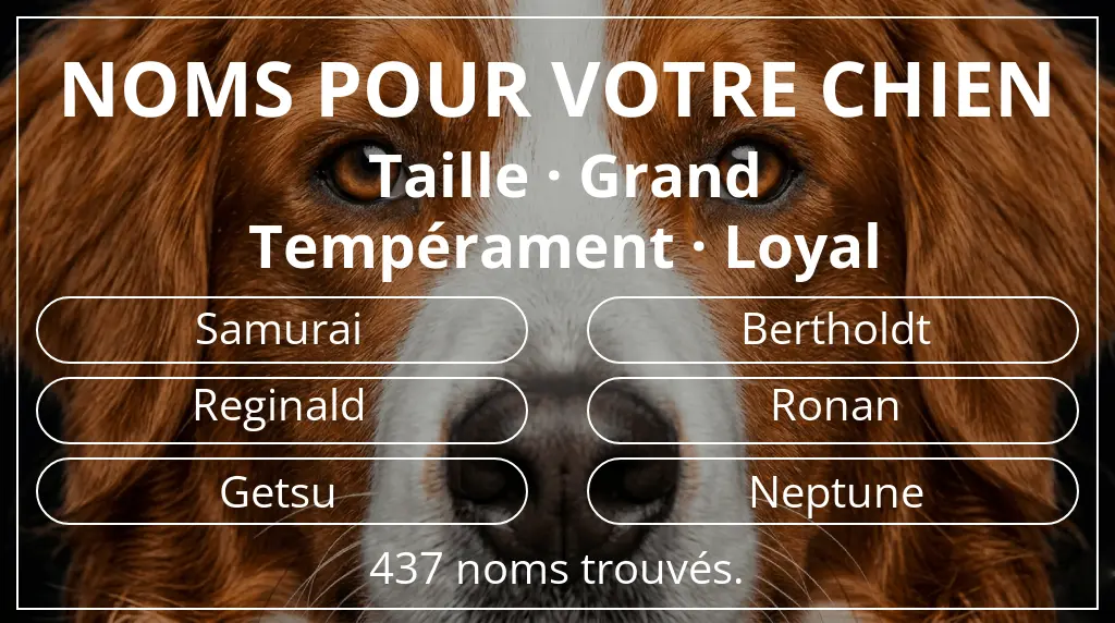 Noms pour chiens basés sur taille grand et tempérament loyal