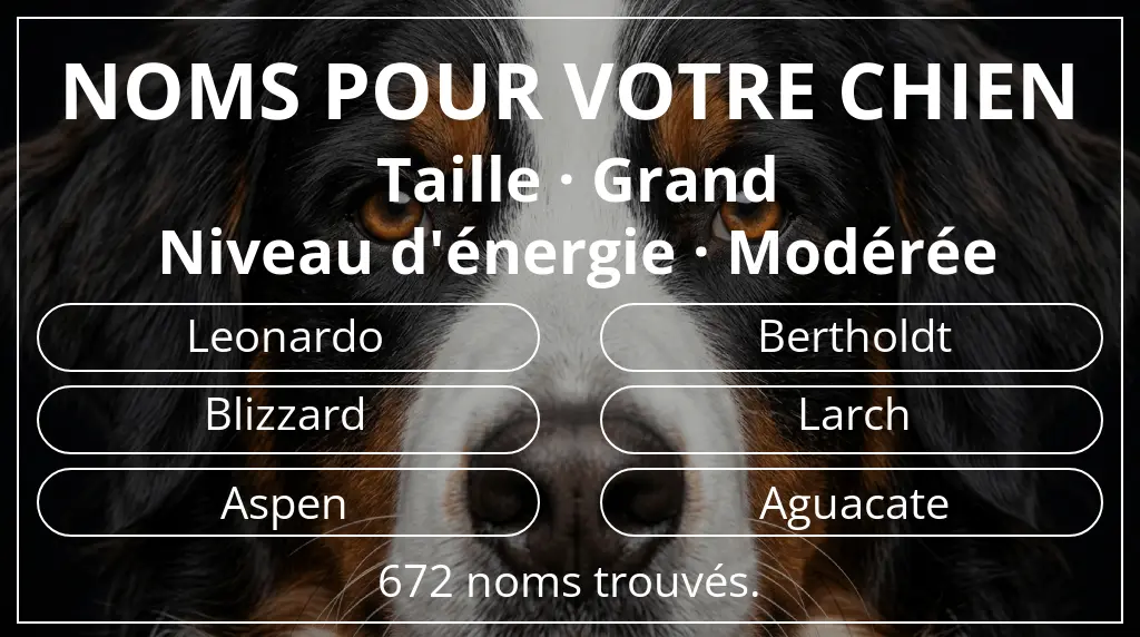 Noms de chiens basés sur taille grand et niveau d'énergie modérée