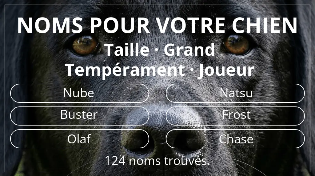 Noms de chiens basés sur taille grand et tempérament joueur