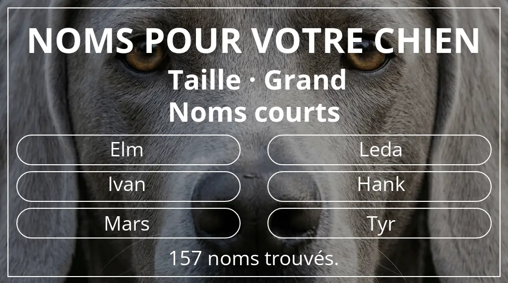 Noms de chiens inspirés de taille grand et longueur du nom court (2 à 4)