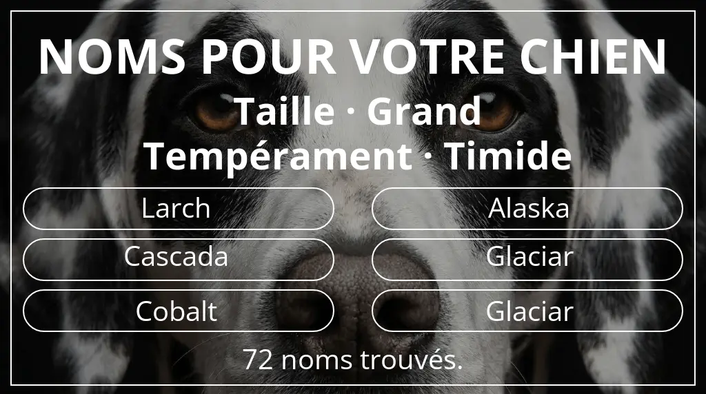 Noms pour chiens inspirés de taille grand et tempérament timide