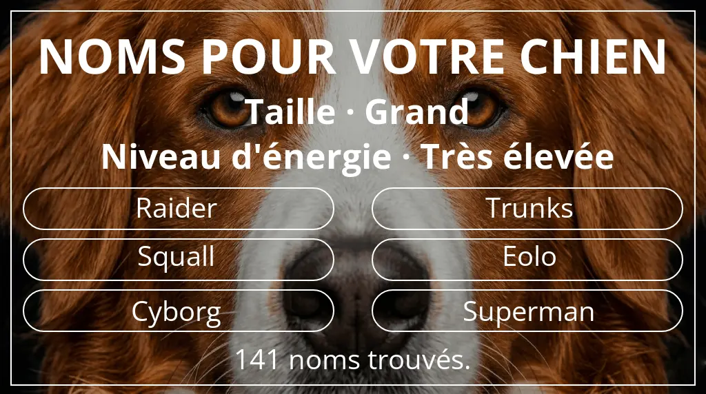 Noms de chiens inspirés de taille grand et niveau d'énergie très élevée
