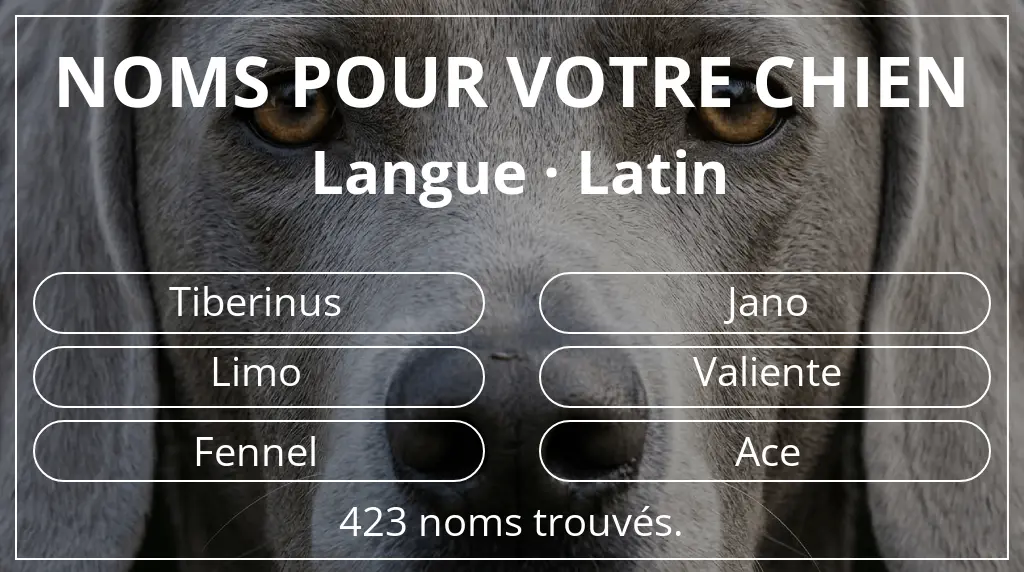 Noms de chiens basés sur langue latin