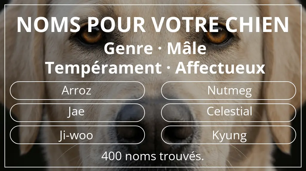Noms de chiens basés sur genre mâle et tempérament affectueux