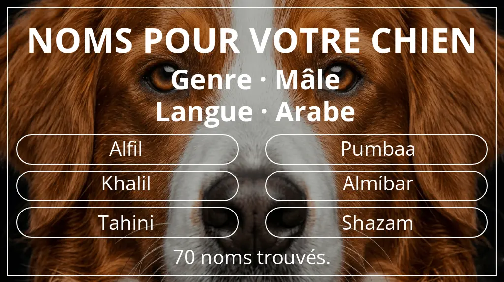 Noms de chiens basés sur genre mâle et langue arabe