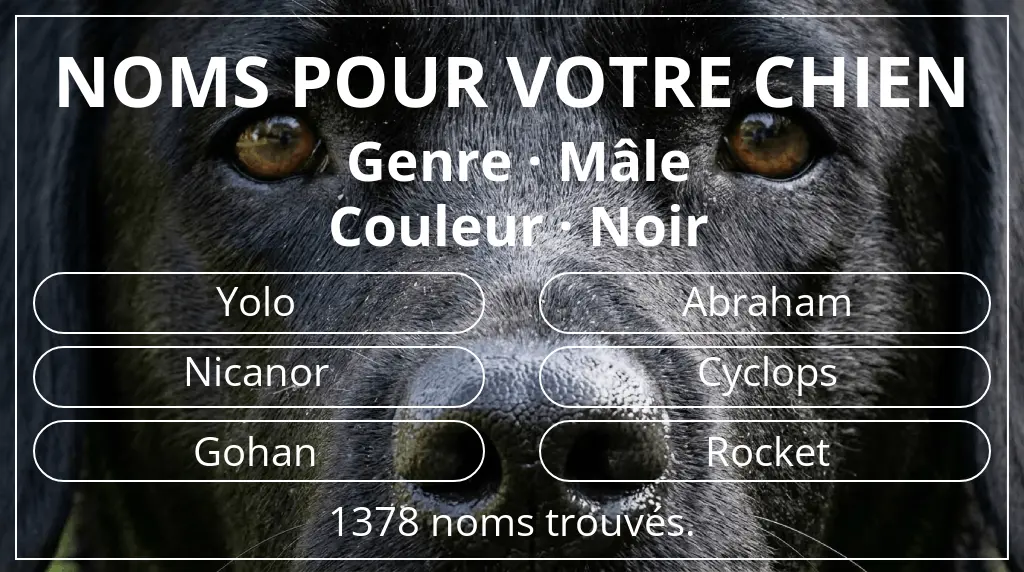 Noms de chiens basés sur genre mâle et couleur noir