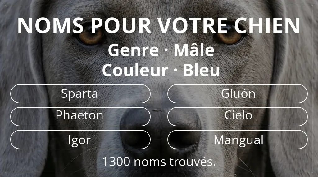 Noms pour chiens basés sur genre mâle et couleur bleu