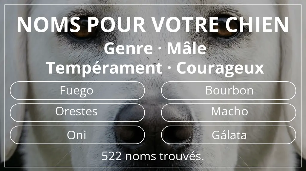 Noms pour chiens inspirés de genre mâle et tempérament courageux
