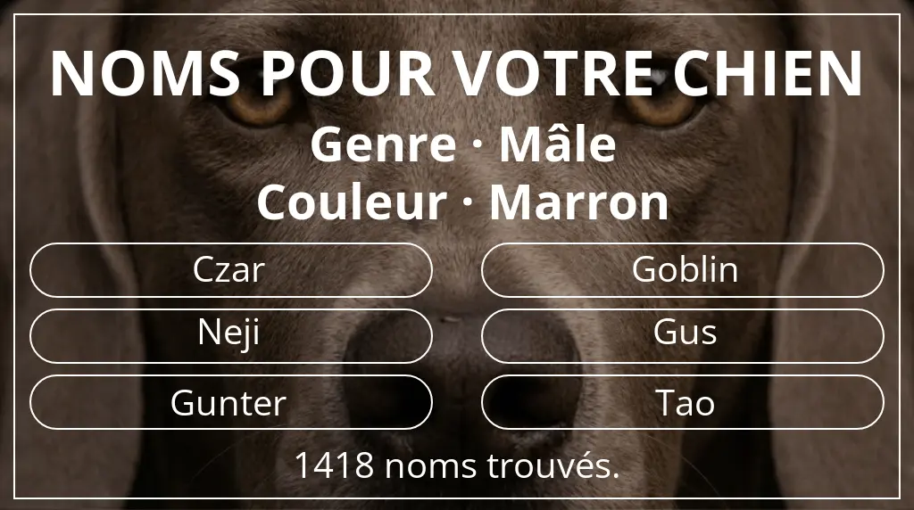 Noms de chiens inspirés de genre mâle et couleur marron