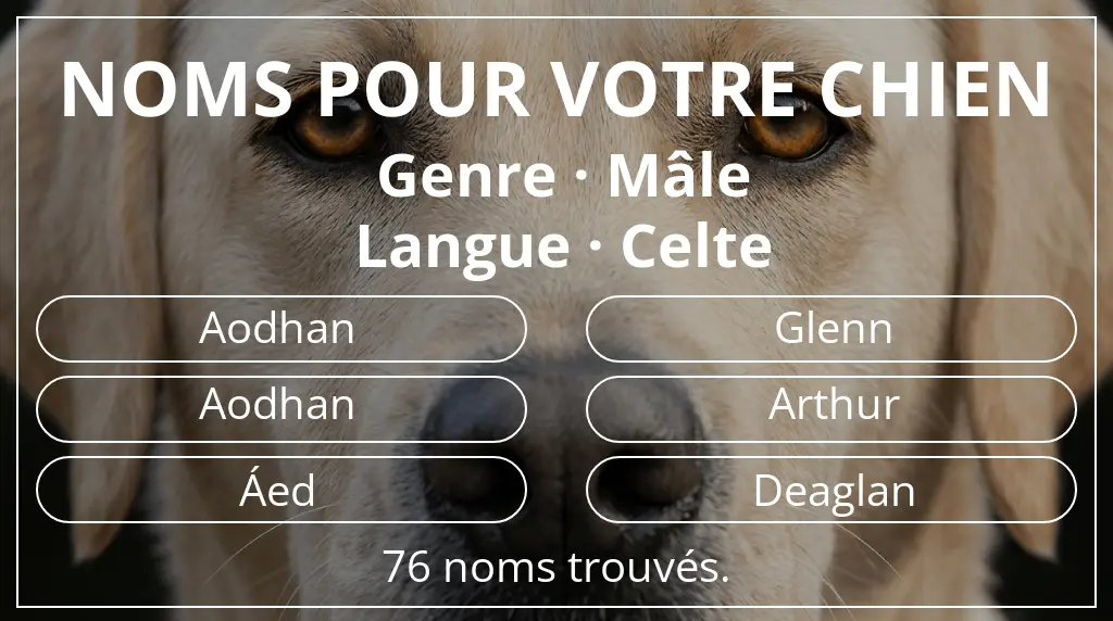 Noms de chiens basés sur genre mâle et langue celte