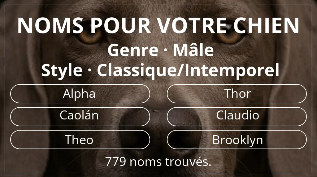 Noms de chiens basés sur genre mâle et style classique/intemporel