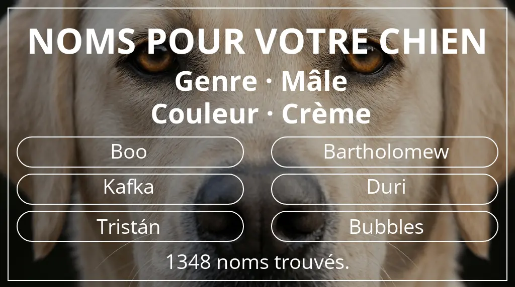 Noms de chiens inspirés de genre mâle et couleur crème