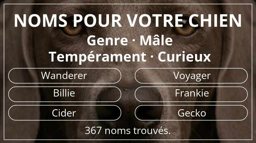 Noms pour chiens inspirés de genre mâle et tempérament curieux