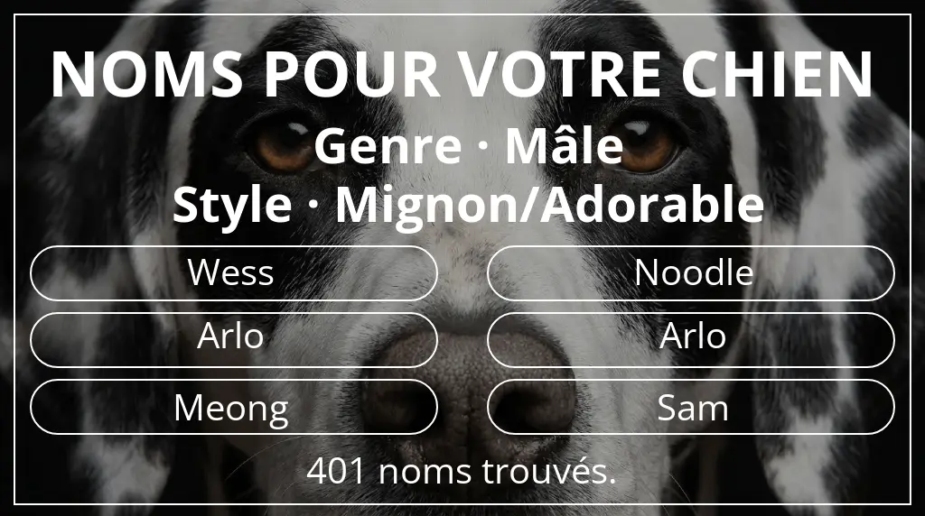 Noms pour chiens inspirés de genre mâle et style mignon/adorable