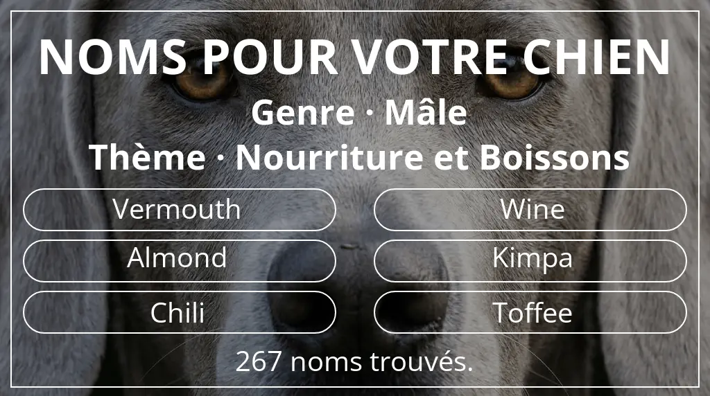 Noms de chiens basés sur genre mâle et thème nourriture et boissons