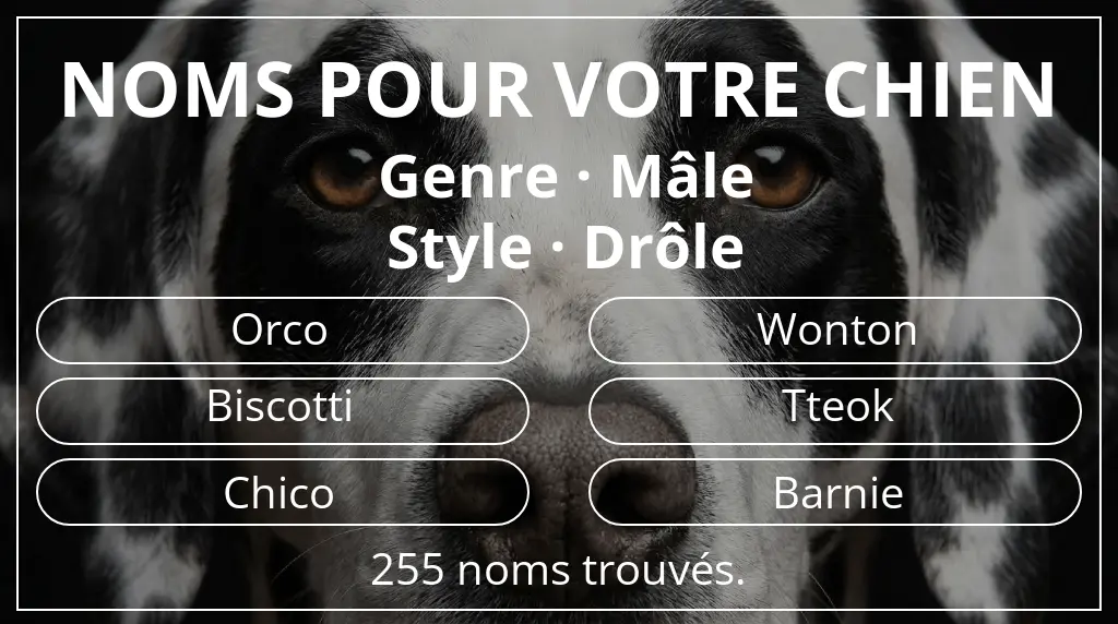 Noms de chiens inspirés de genre mâle et style drôle