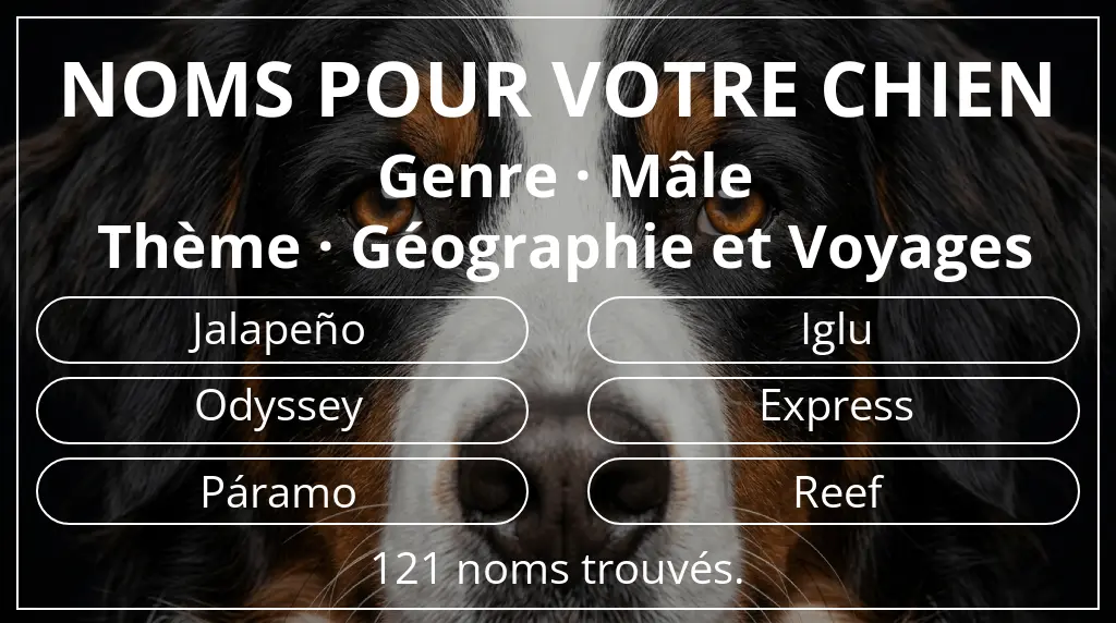 Noms pour chiens inspirés de genre mâle et thème géographie et voyages