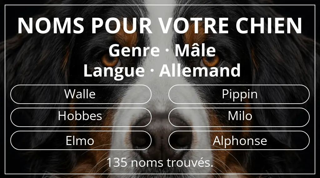 Noms pour chiens basés sur genre mâle et langue allemand