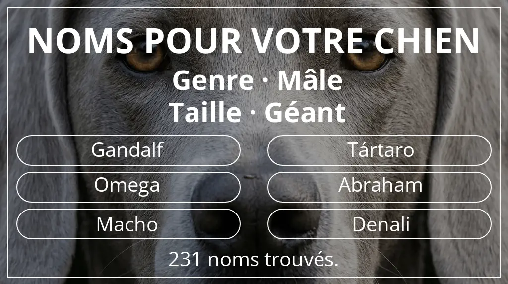 Noms pour chiens basés sur genre mâle et taille géant