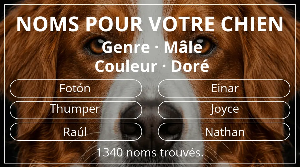 Noms de chiens basés sur genre mâle et couleur doré