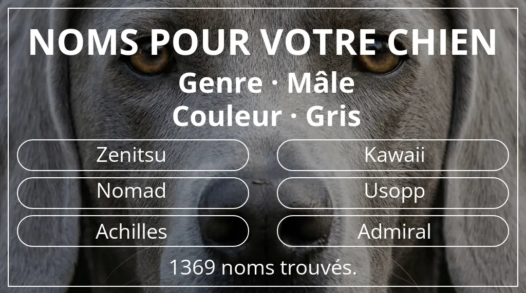 Noms pour chiens basés sur genre mâle et couleur gris