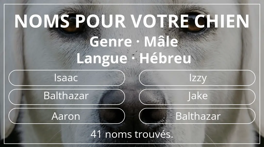 Noms pour chiens inspirés de genre mâle et langue hébreu