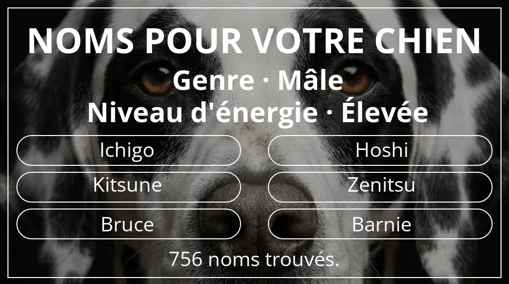 Noms de chiens basés sur genre mâle et niveau d'énergie élevée
