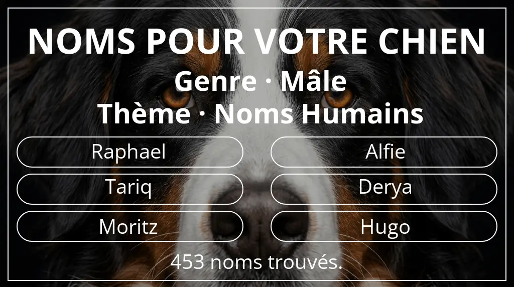 Noms de chiens inspirés de genre mâle et thème noms humains