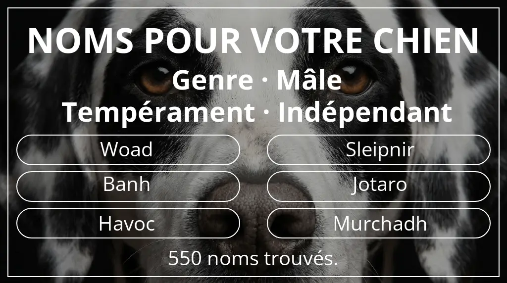 Noms pour chiens inspirés de genre mâle et tempérament indépendant