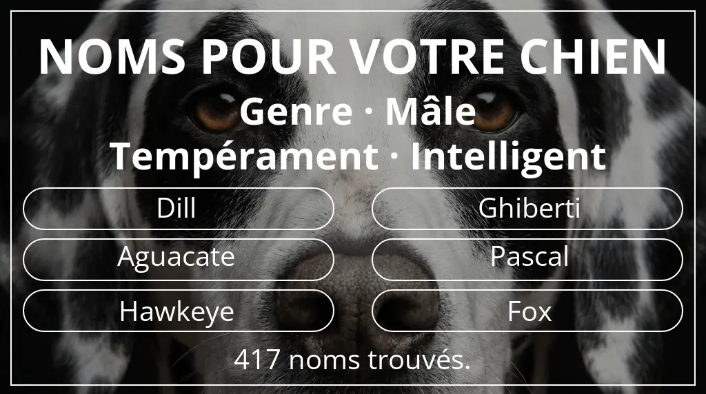 Noms de chiens basés sur genre mâle et tempérament intelligent